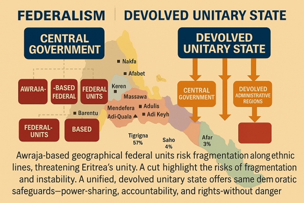 A Different Path for Eritrea: Critiquing the Eritrean Government-in-Exile Proposal – A Critical Assessment